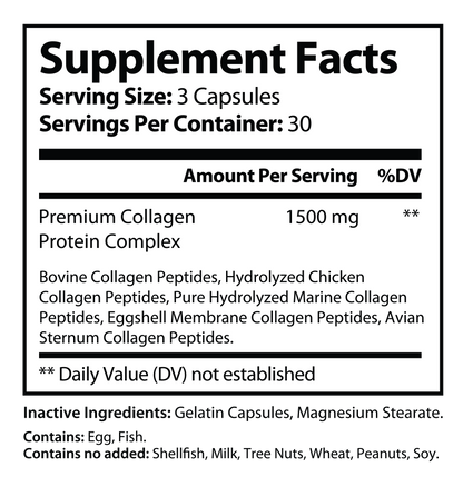 Multi Collagen Protein - Types I, II, III, V, X